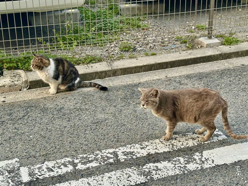 〇〇と熱気は高いところがお好きさんのおふろや和光 (和光浴場)のサ活写真