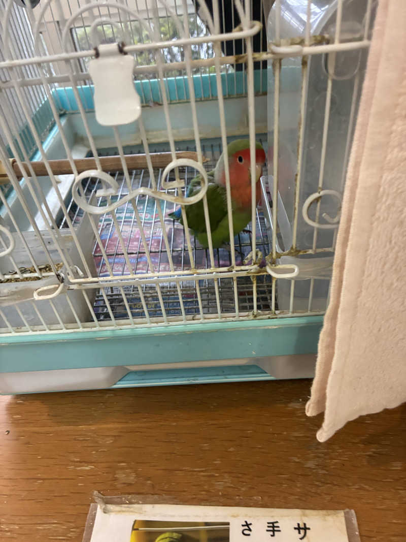 ちっちのすけさんの里湯ちりはまのサ活写真