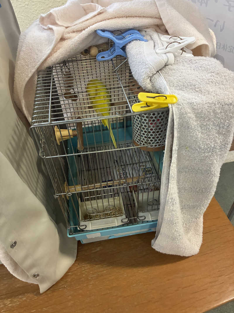 ちっちのすけさんの里湯ちりはまのサ活写真