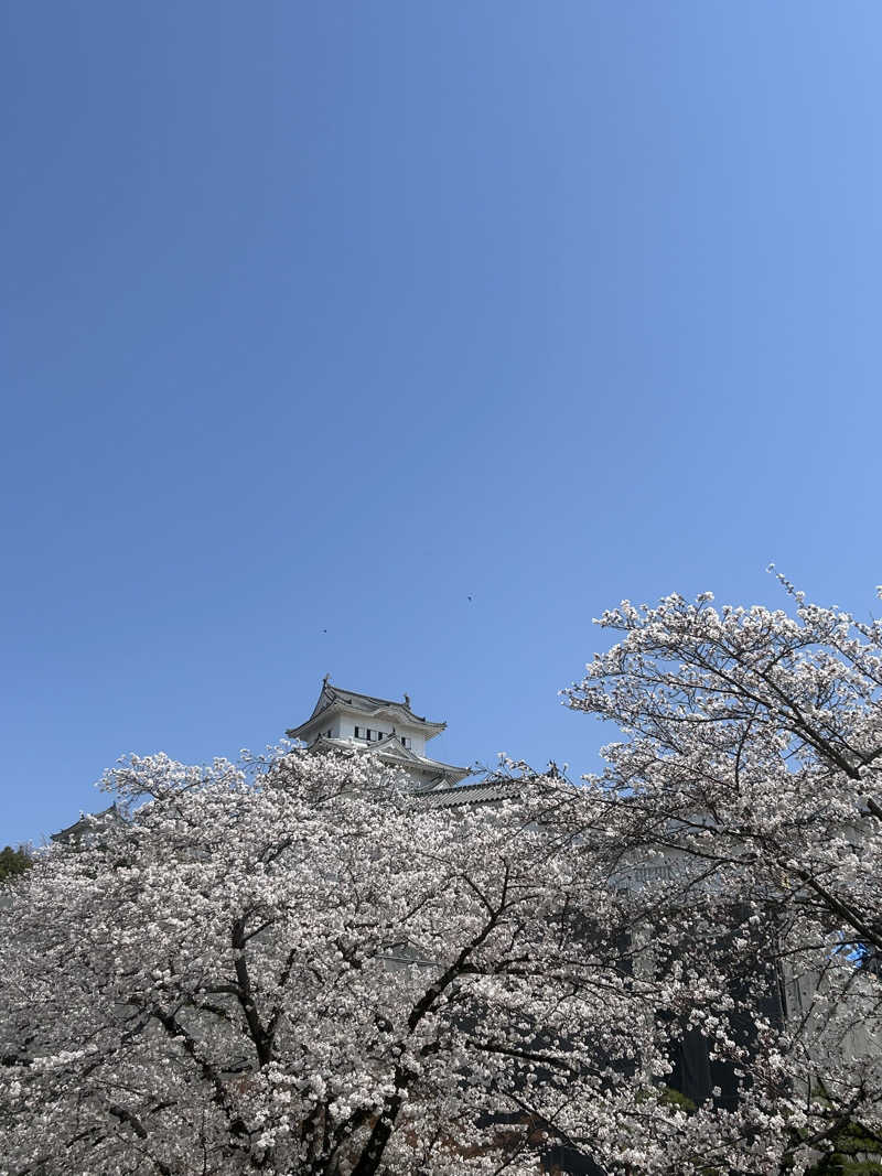 茶茶さんの露天風呂たこ湯のサ活写真