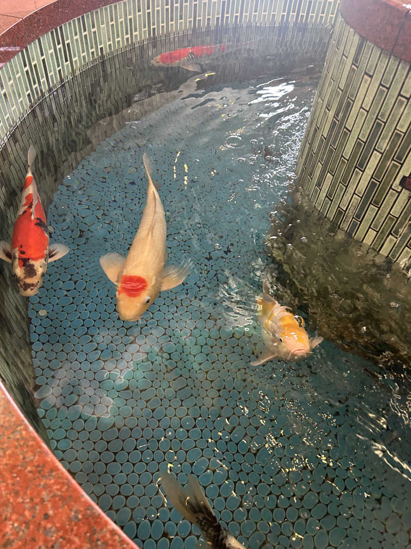茶茶さんの夢の公衆浴場 五色のサ活写真