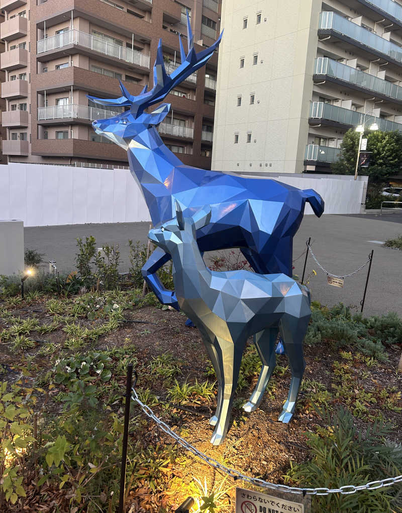 コウヘイさんの豊島園 庭の湯のサ活写真