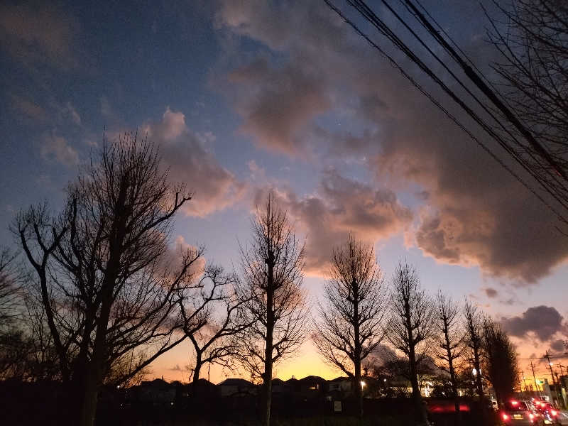 junjunsaunaさんの町田市立室内プール「町田桜の湯」のサ活写真