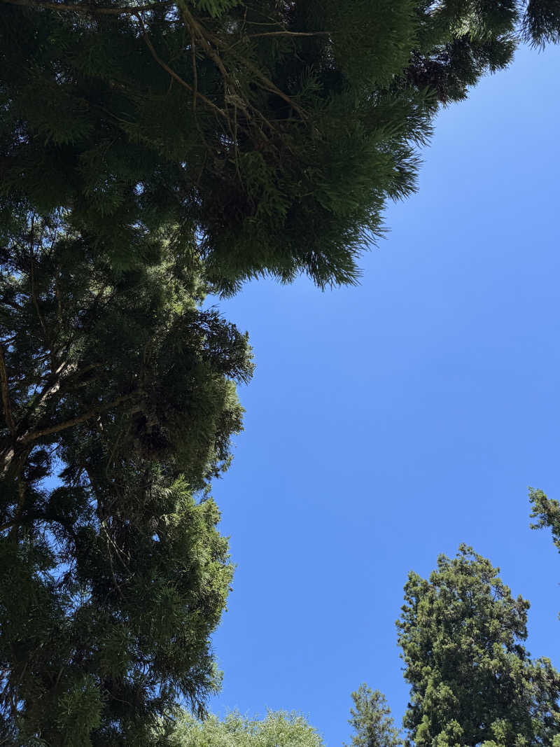 🌼さんのSauna park camp Morinosuのサ活写真