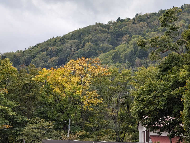 爆汗ボンバー・なめさんの定山渓温泉 湯の花のサ活写真