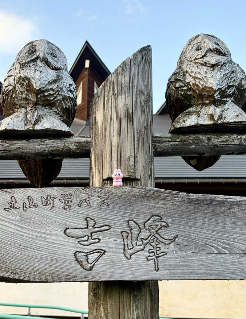 サぱんちゅ🩷さんのグリーンパーク吉峰 ゆ～ランドのサ活写真