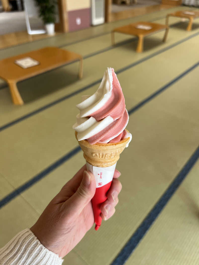 KAYUMIさんの道の駅 かみゆうべつ温泉チューリップの湯のサ活写真