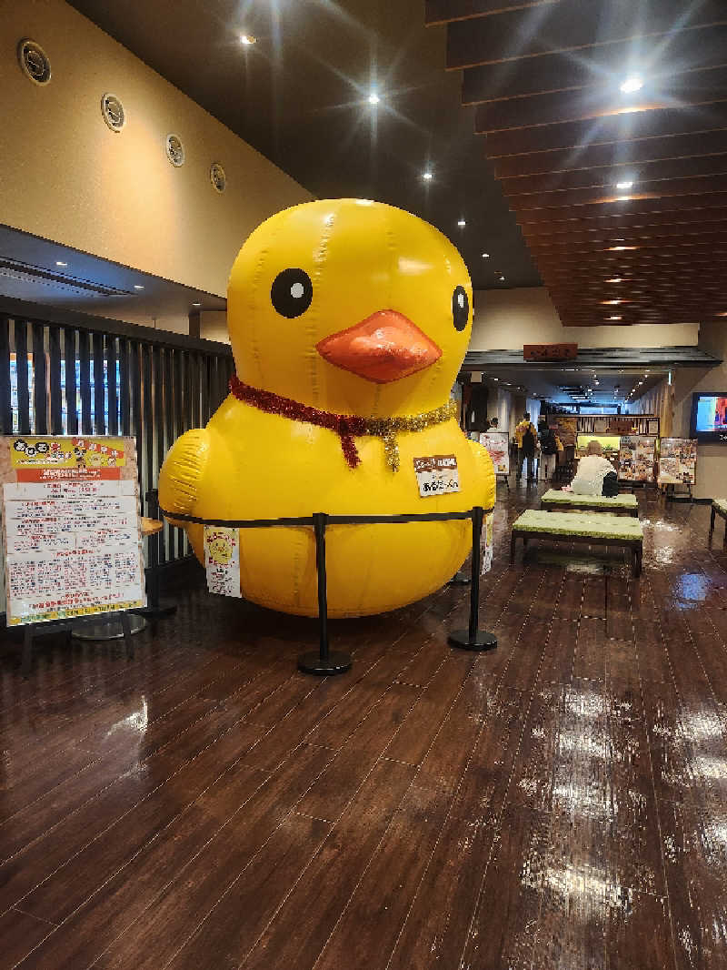 どーどりおさんの神州温泉 あるごの湯のサ活写真