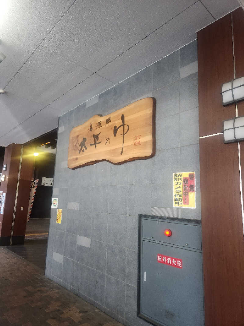 どーどりおさんの湯源郷 太平のゆ なんば店のサ活写真