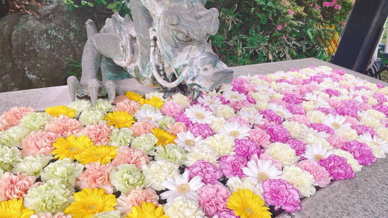 ほかほかあぽろさんのよみうりランド眺望温泉 花景の湯のサ活写真