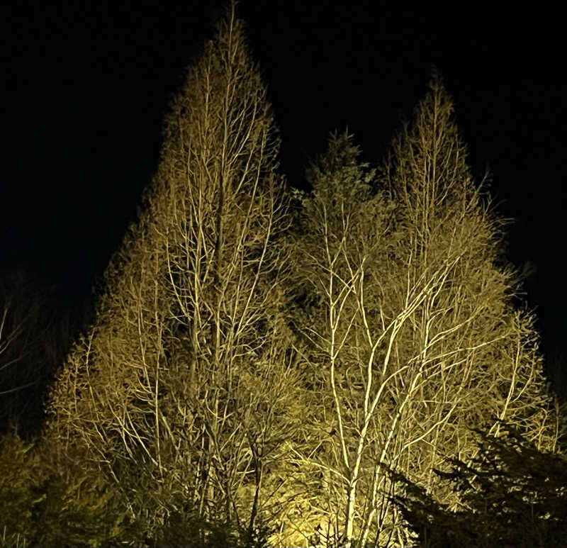 サウナー20240204さんの鳳乃舞温泉 音更のサ活写真