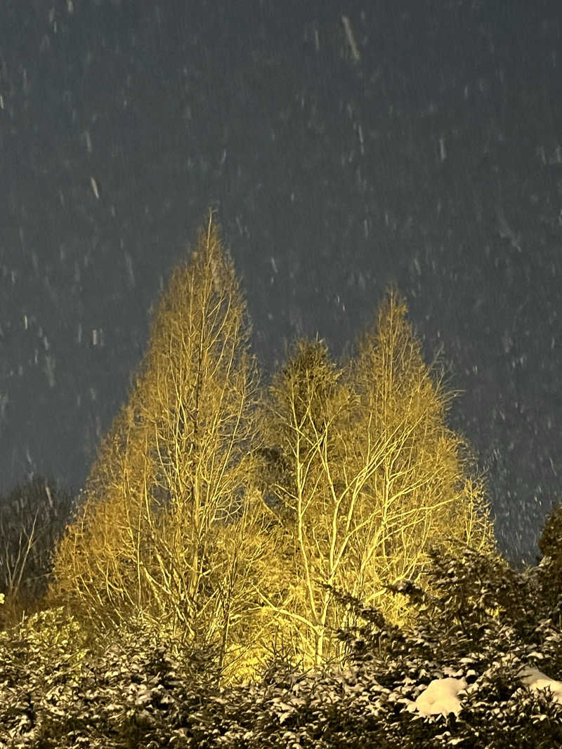 サウナー20240204さんの鳳乃舞温泉 音更のサ活写真