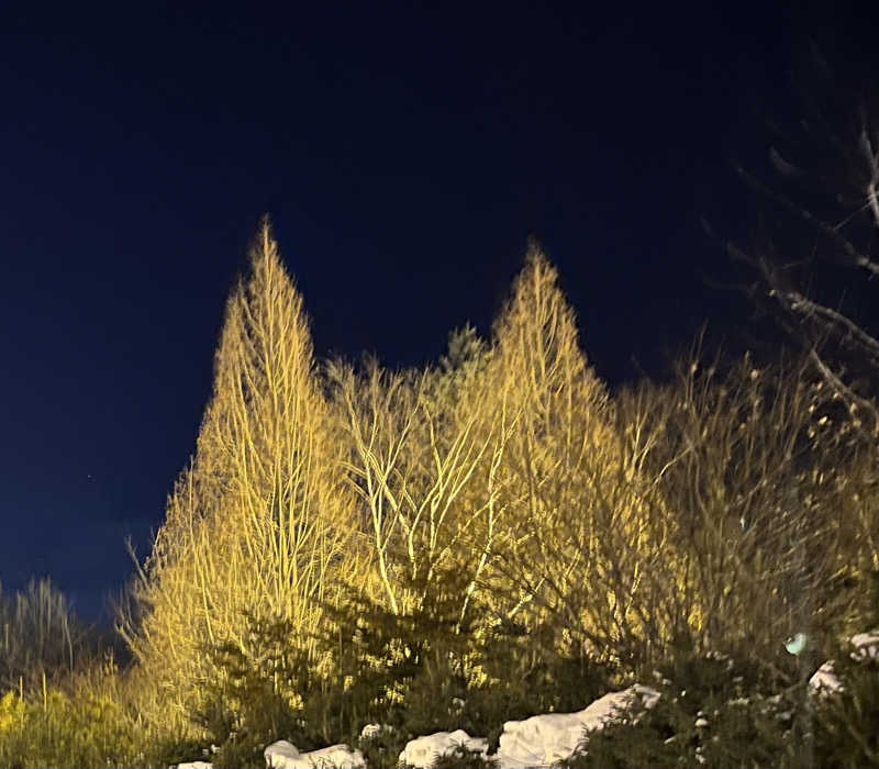 サウナー20240204さんの鳳乃舞温泉 音更のサ活写真