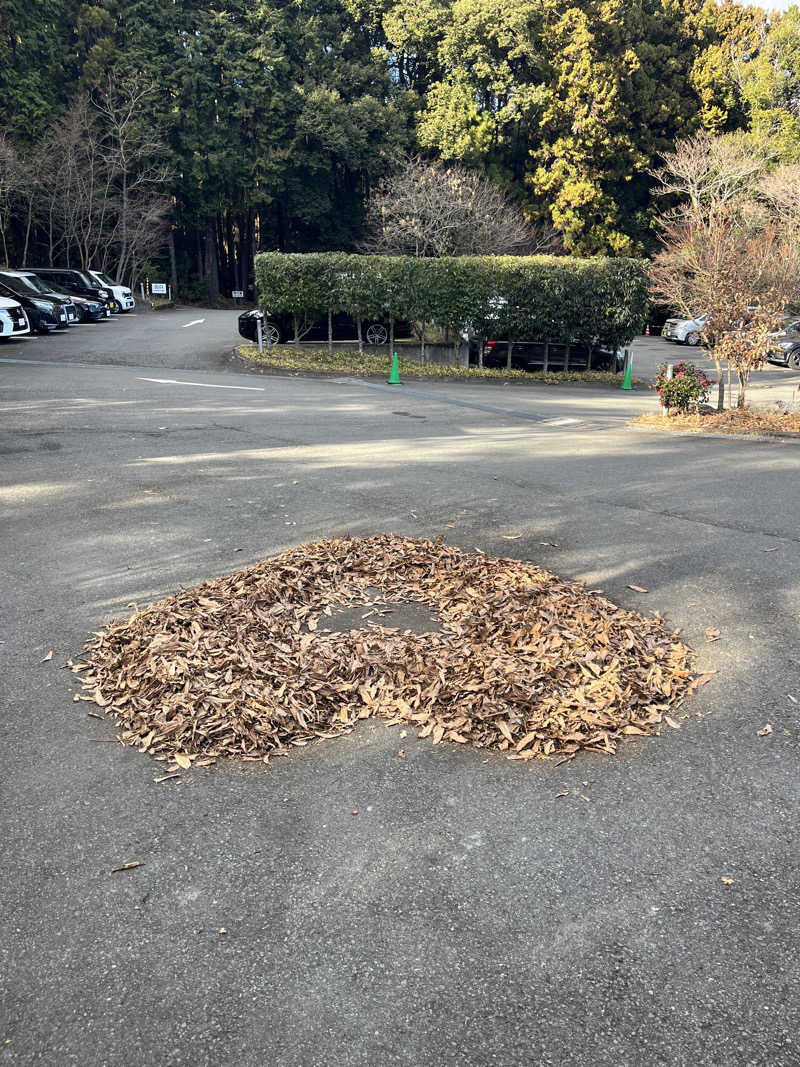 サキさんのモダン湯治 おんりーゆーのサ活写真