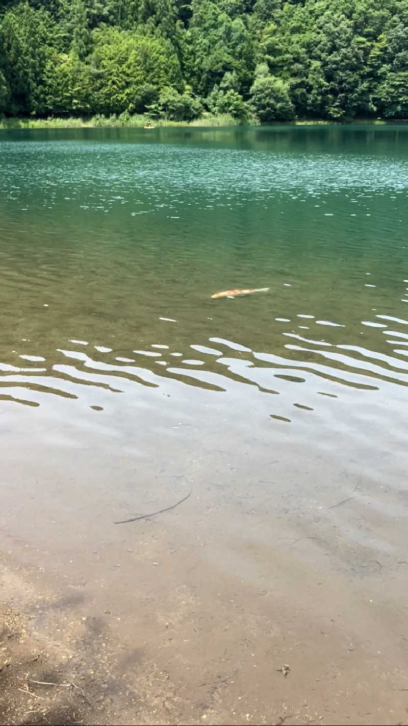 カモちゃんa.k.a感謝するサウナーさんの湖畔の楽園ドラゴンサウナのサ活写真