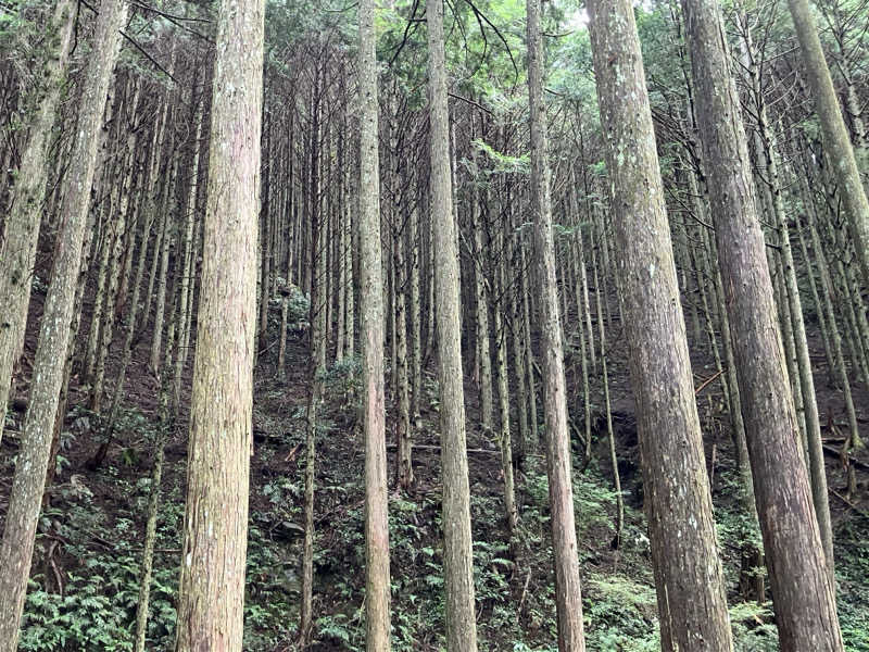 カモちゃんa.k.a感謝するサウナーさんのさんかく山 CAMP FIELDのサ活写真