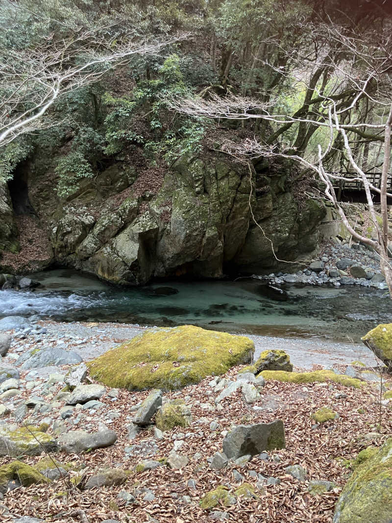 ラッキーカモカモakaよったさんの水源の森 キャンプ・ランドのサ活写真