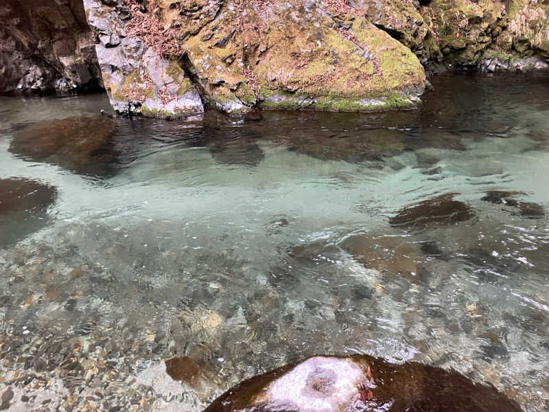 ラッキーカモカモakaよったさんの水源の森 キャンプ・ランドのサ活写真