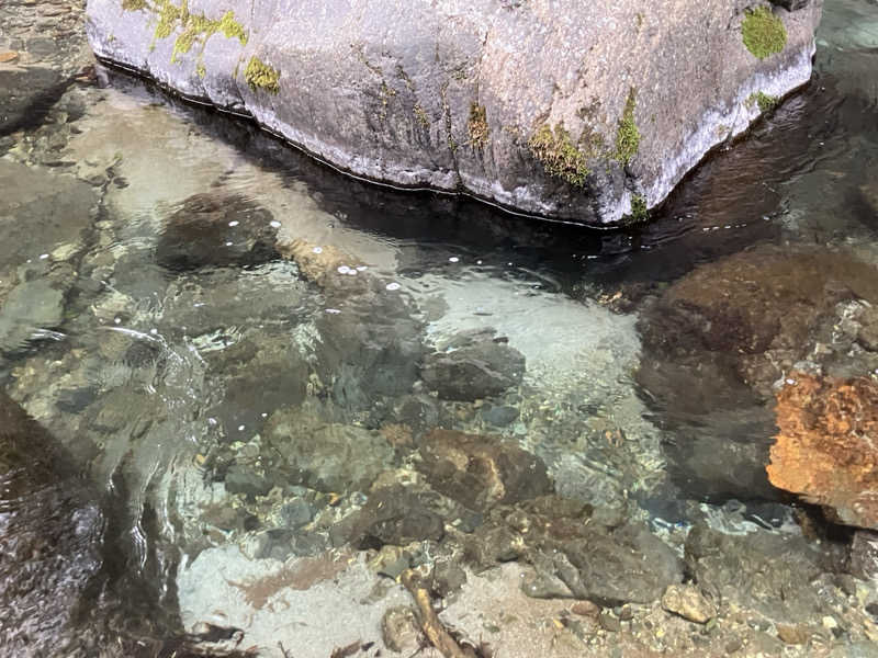 ラッキーカモカモakaよったさんの水源の森 キャンプ・ランドのサ活写真