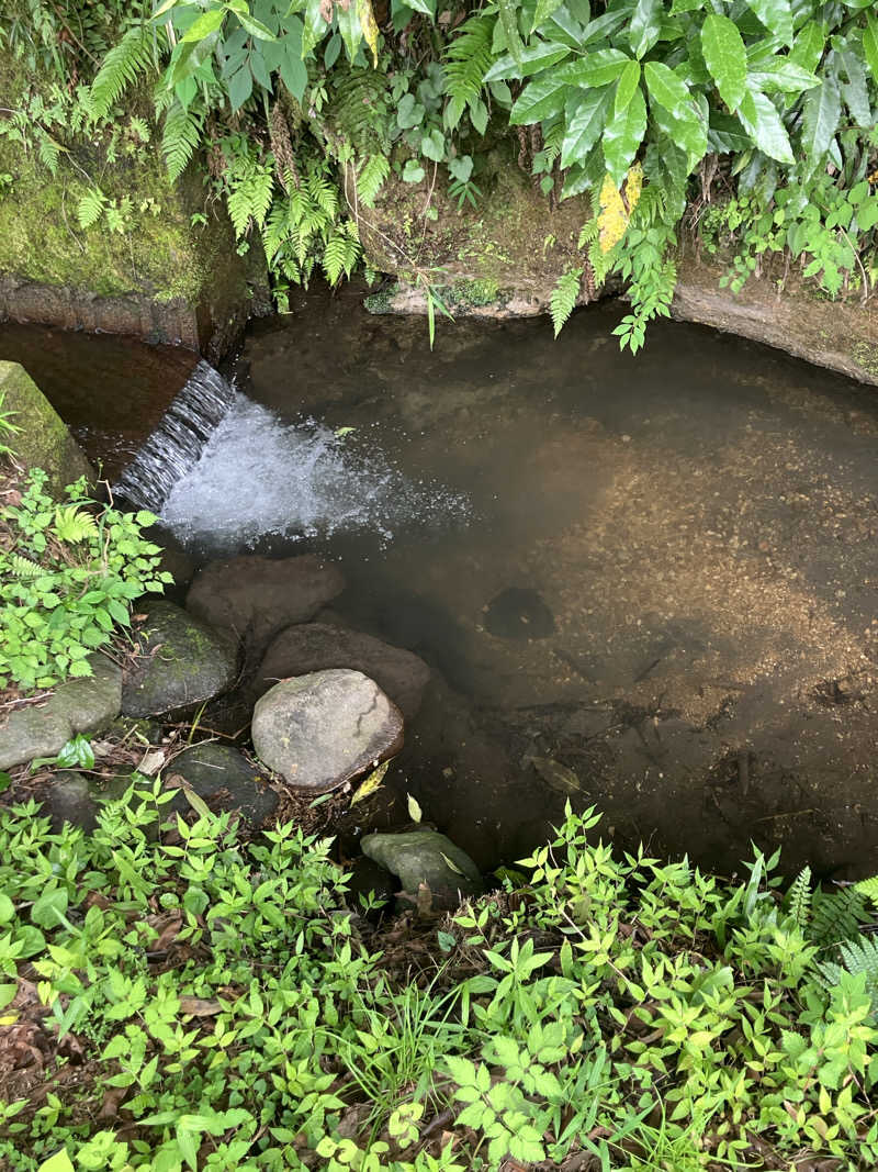 ラッキーカモカモakaよったさんのThe earth saunaのサ活写真