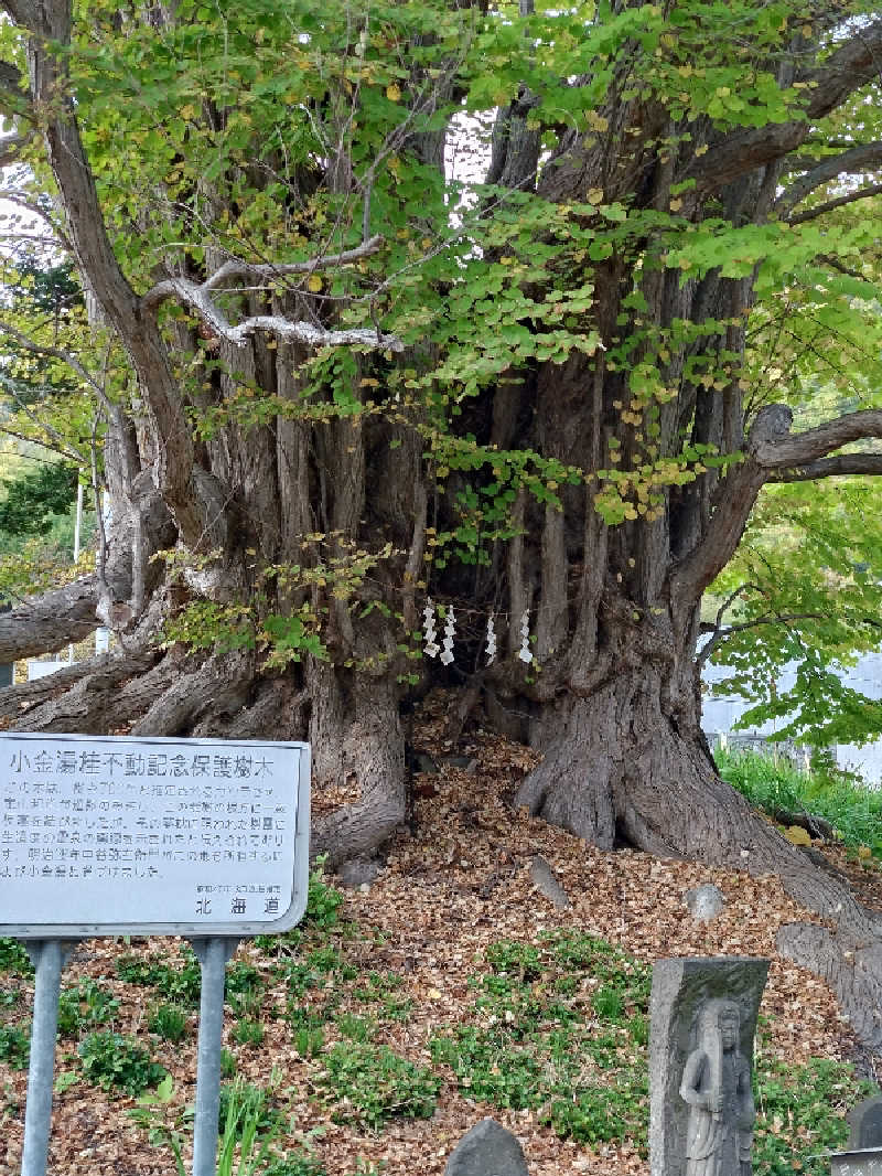 KAMIさんの小金湯温泉 湯元 小金湯のサ活写真