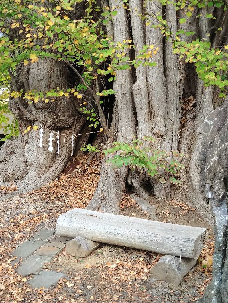 KAMIさんの小金湯温泉 湯元 小金湯のサ活写真