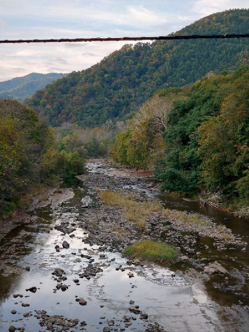 KAMIさんの小金湯温泉 湯元 小金湯のサ活写真