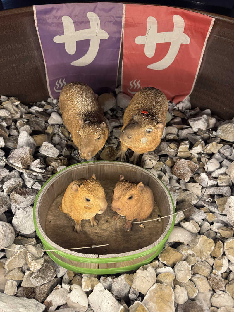 SSSさんの富士山天然水SPA サウナ鷹の湯のサ活写真