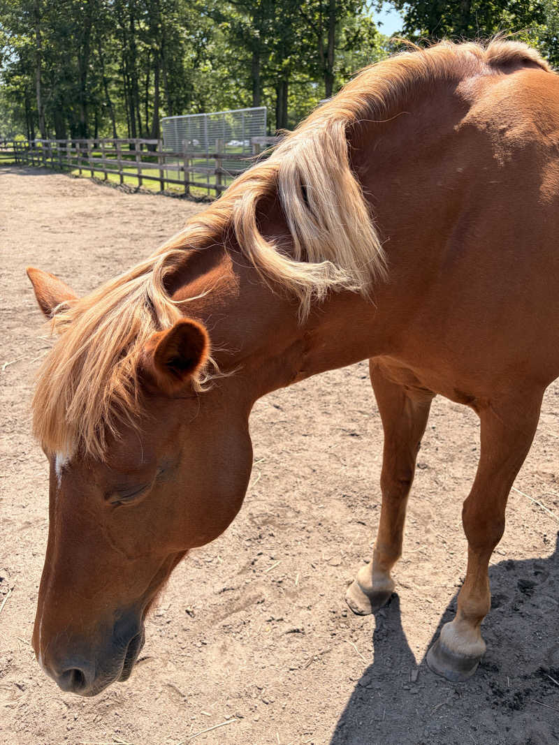 がじがじさんのGARDENS CABIN (ガーデンズキャビン)のサ活写真