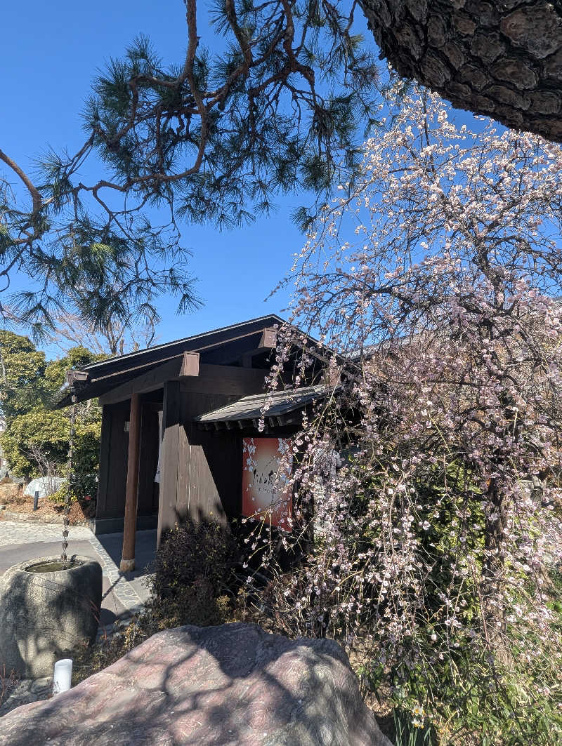 老眼監督さんの花湯スパリゾートのサ活写真