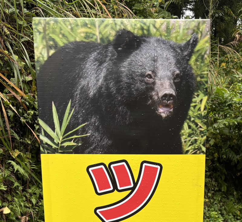 たさんの江戸川区立 塩沢江戸川荘のサ活写真