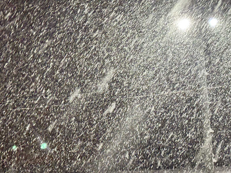 たさんの魚沼市湯之谷薬師温泉ゆ〜パーク薬師のサ活写真