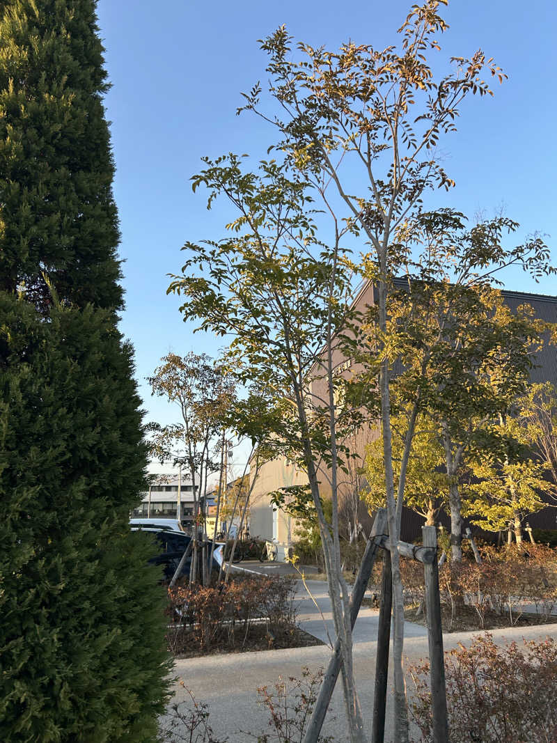 コータスさんの佐賀の湯処 KOMOREBIのサ活写真