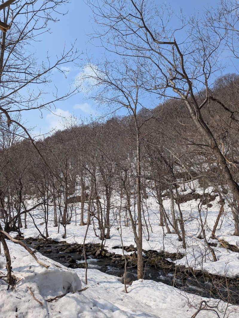 ひなこさんの旅房はなえみのサ活写真