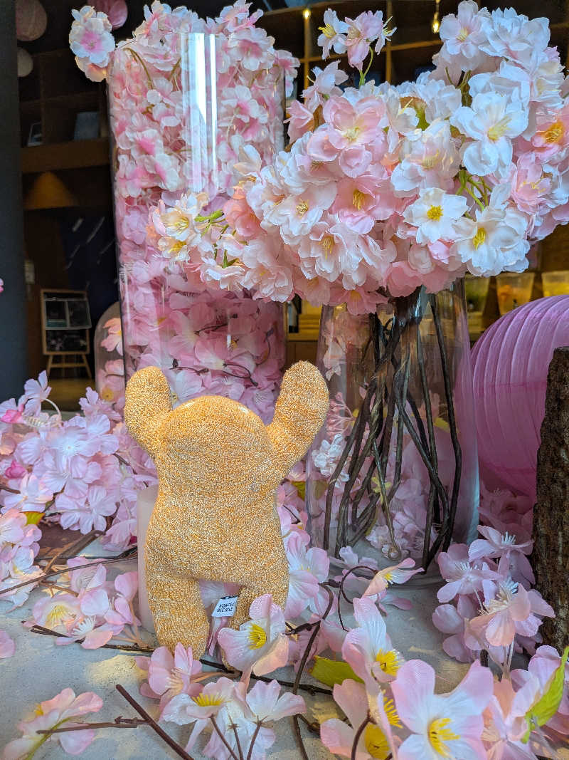 ひなこさんの芦別温泉 おふろcafé 星遊館 (芦別温泉スターライトホテル)のサ活写真