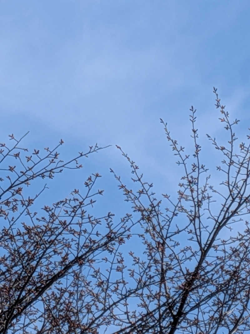 ひなこさんの湖畔のSAUNAのサ活写真