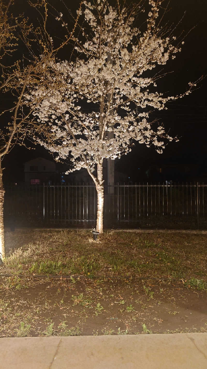 サウナを懸けるさんの山梨泊まれる温泉 より道の湯のサ活写真