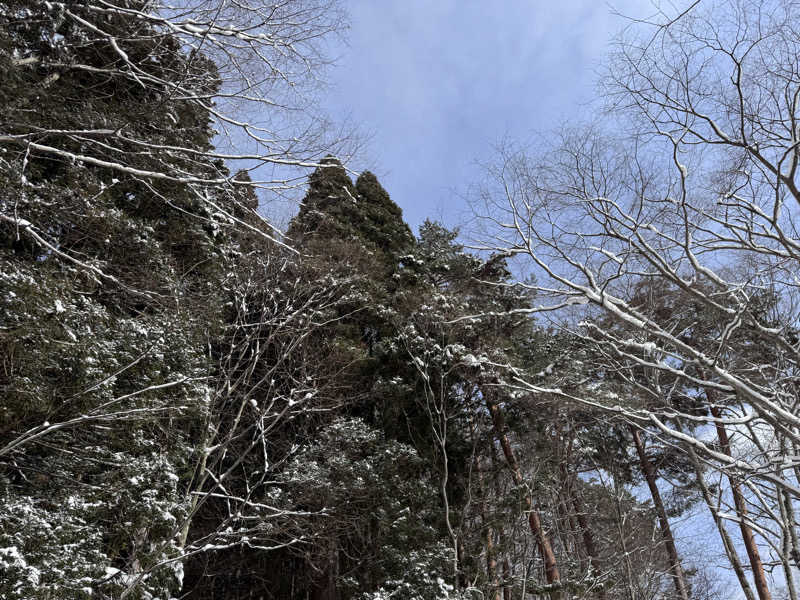 Ryo Ikedaさんの梅の屋リゾート 松川館のサ活写真