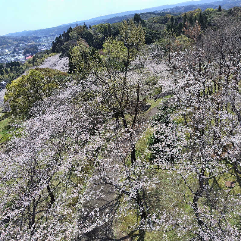 つれづれ山さんのせせらぎの湯 花水木のサ活写真