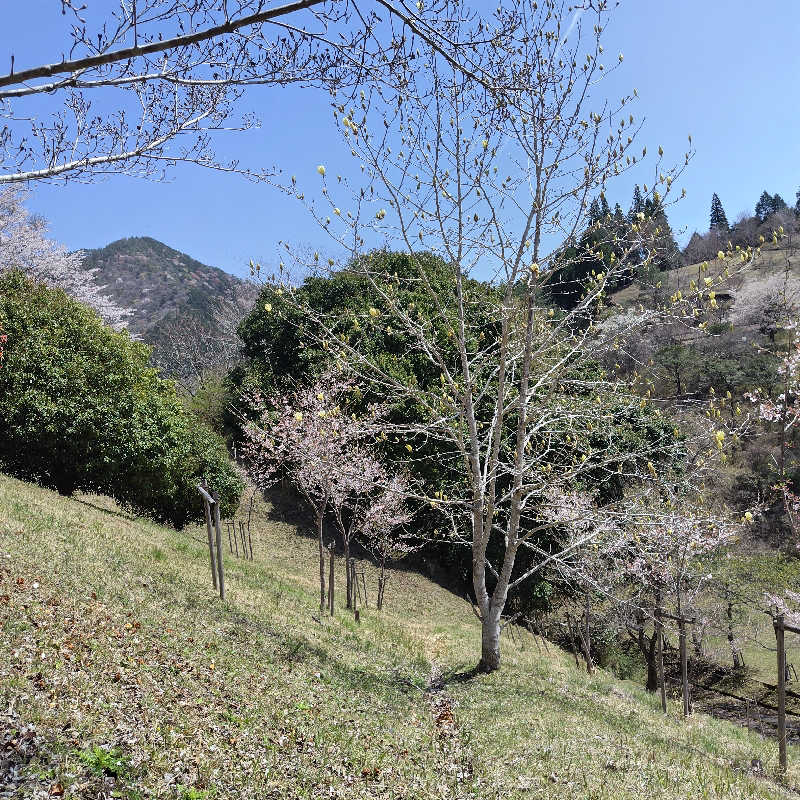 つれづれ山さんのすきむらんど温泉 かじかの湯のサ活写真