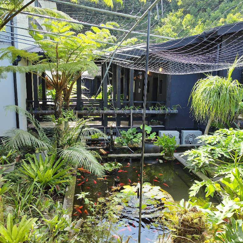 つれづれ山さんの薩摩黒温泉 山華のサ活写真