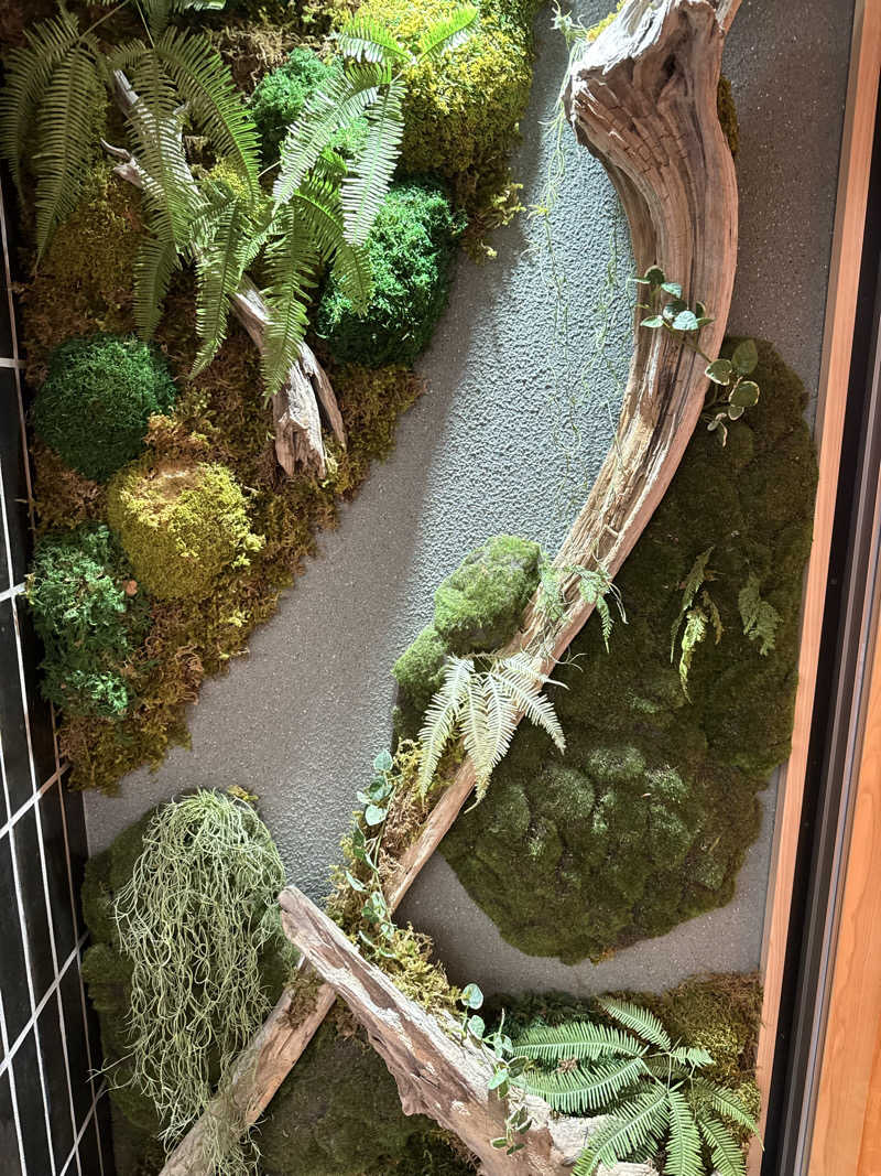 コウメさんのTHE DD SAUNAのサ活写真