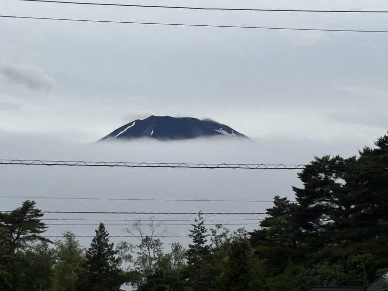 ドックパッチさんの富士山溶岩の湯 泉水(リゾートイン芙蓉)のサ活写真
