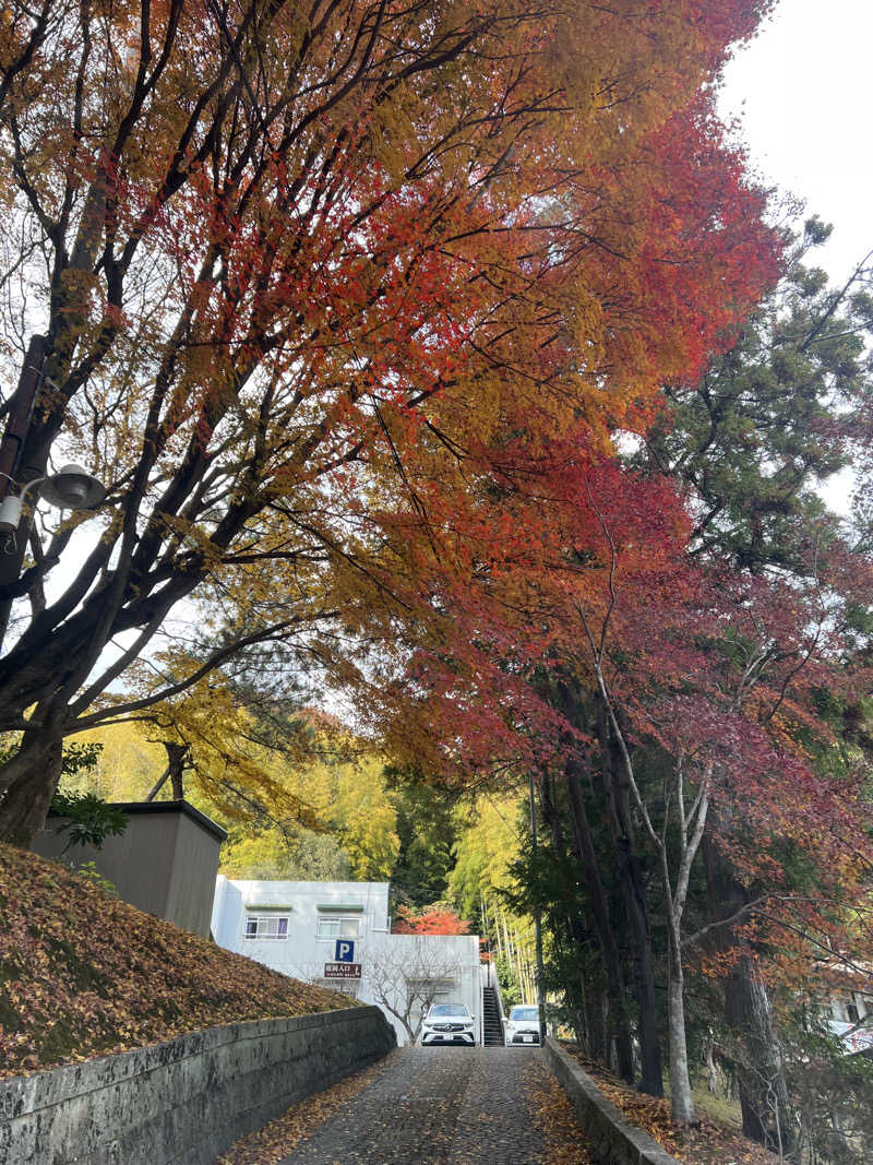 takayukiさんの山水園 翠山の湯のサ活写真