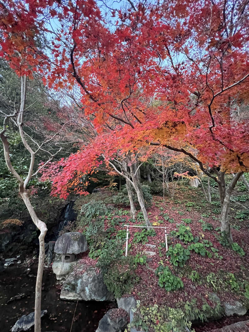 takayukiさんの山水園 翠山の湯のサ活写真