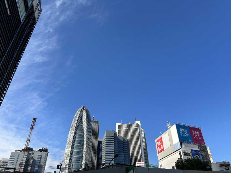 かざあな寒河江さんの新宿天然温泉 テルマー湯のサ活写真