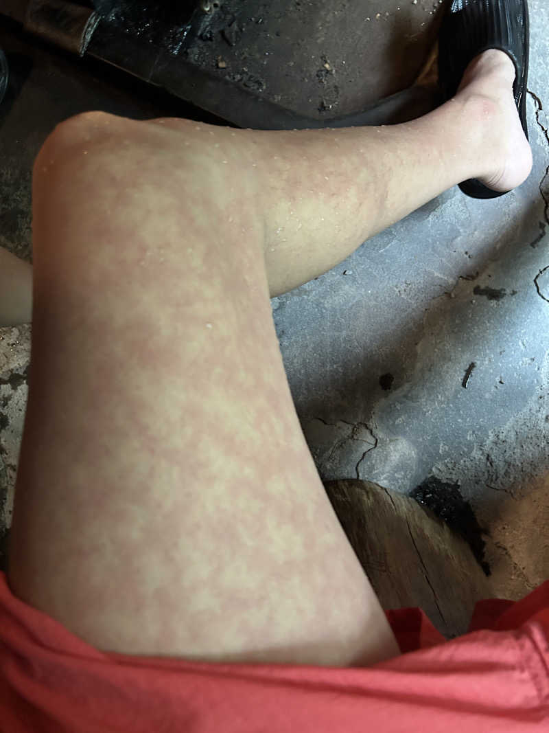 かざあな寒河江さんの寒の地獄旅館のサ活写真