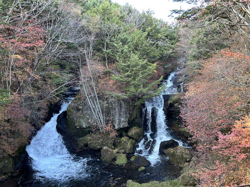 かざあな寒河江さんの宝湯のサ活写真