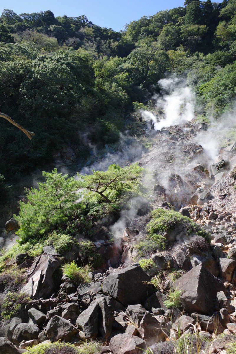 ktym85さんの白鳥温泉上湯のサ活写真