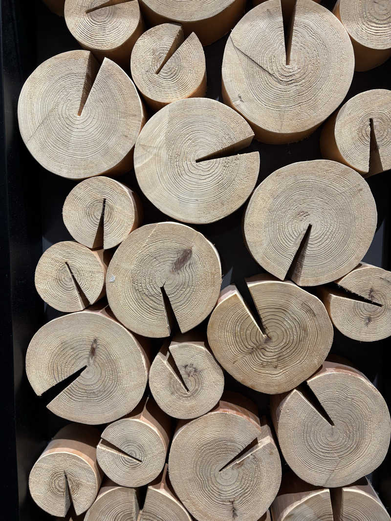 コーヒーサウナ浪士さんのユートピア白玉温泉のサ活写真